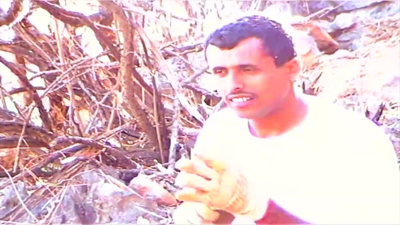 فتح طريق نيابة غدو