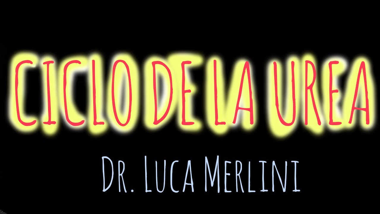 Ciclo de la Urea