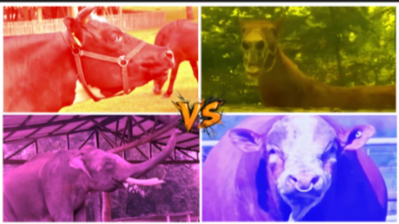 Funny Cow🐄🆚️ Funny Horse🐎🆚️ Funny Elephant🐘🆚️ Funny Bull🐃🆚️ Tiles Hop EDM Rush