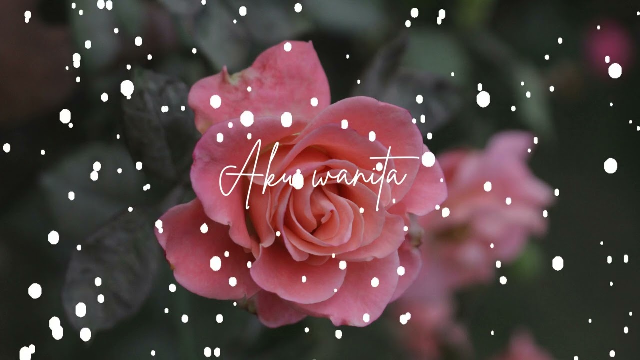 《 Aku Wanita 》
