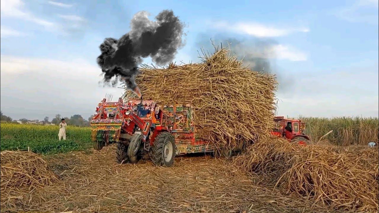 Powerful Tractors Badly Stuck In Mud 😨 || Belarus 510 Tractor Video || Mf 375 Tractor Pulling