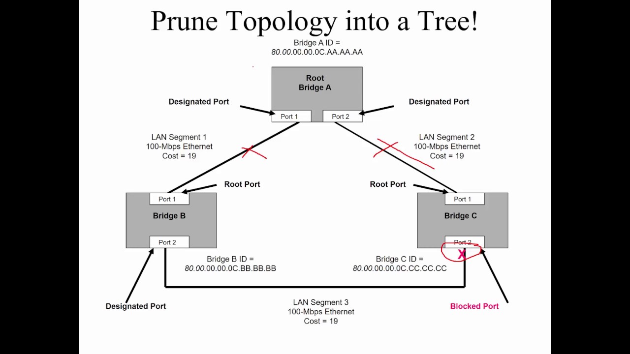 CiscoPress - Top Down Network Design 3ed - Chapter 5 - Designing a Network Topology
