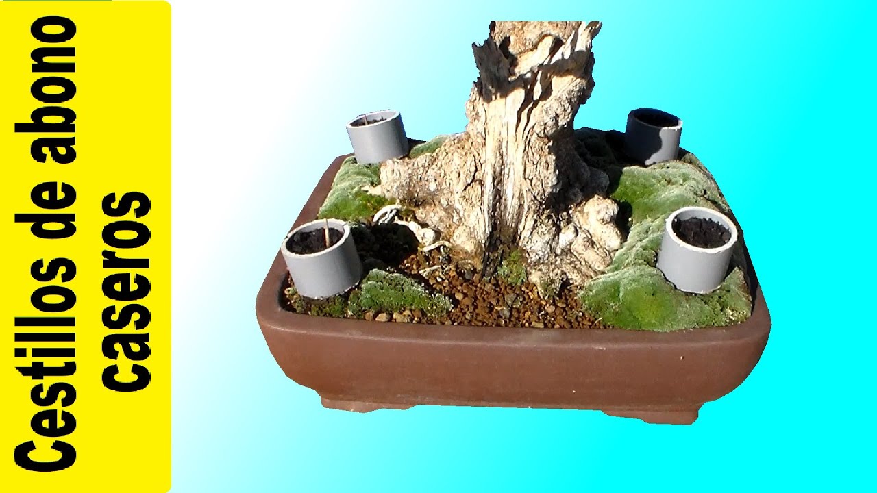 Cestillos abono caseros para bonsai