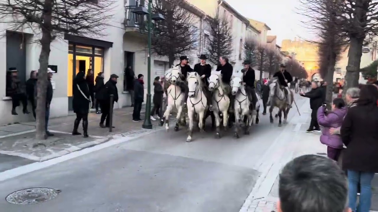 Aigues-Mortes Noël en Camargue 2024