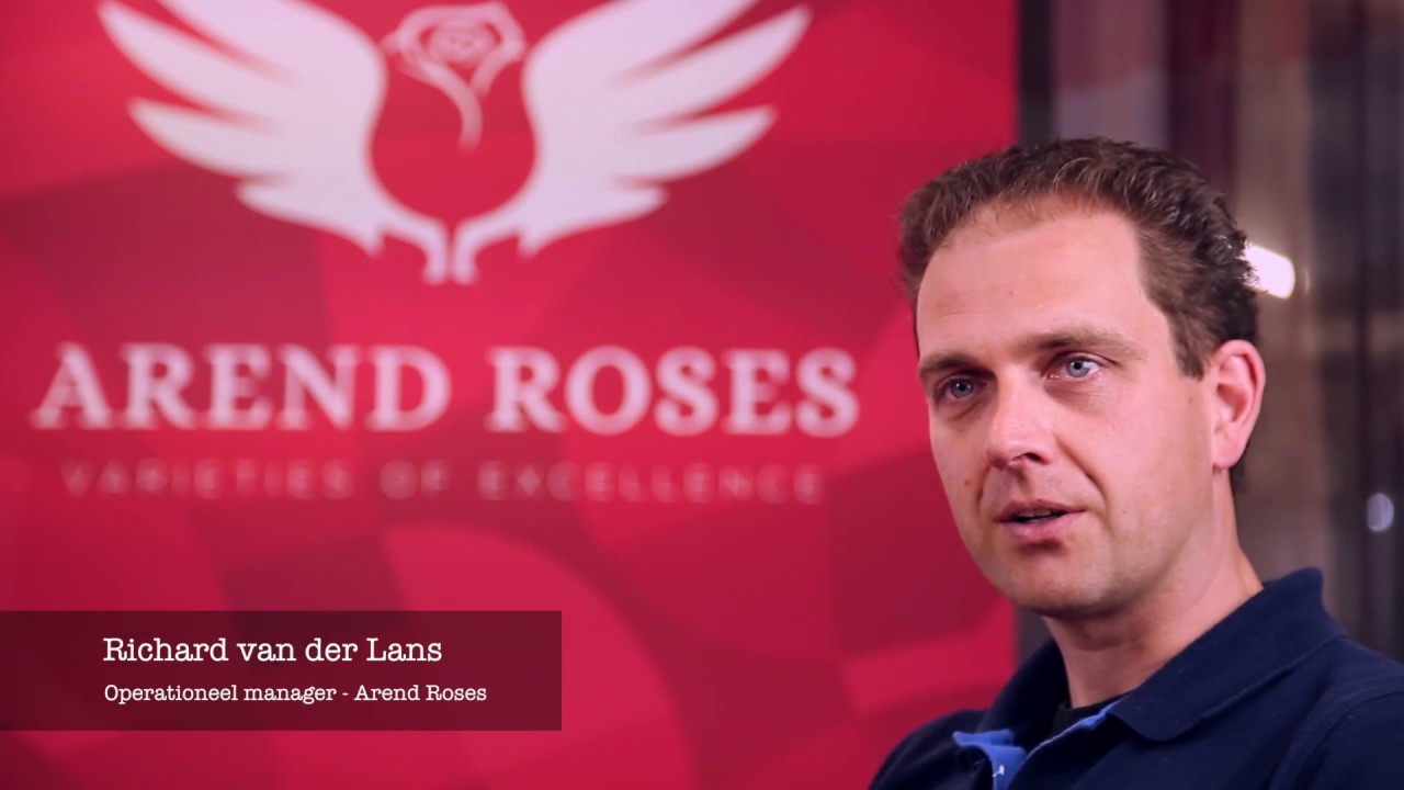 Arend Roses over LetsGrow.com
