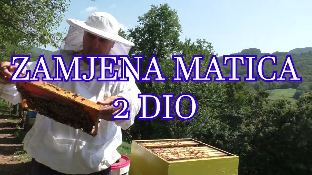 ZAMJENA MATICA KRAJEM LJETA 2 | NE-POTREBNO?