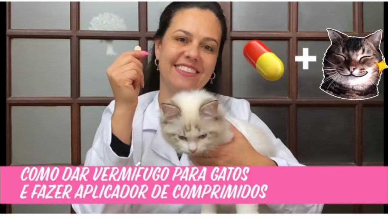 Como dar vermífugo para gatos (técnica do burrito) e como fazer um aplicador de comprimidos em casa