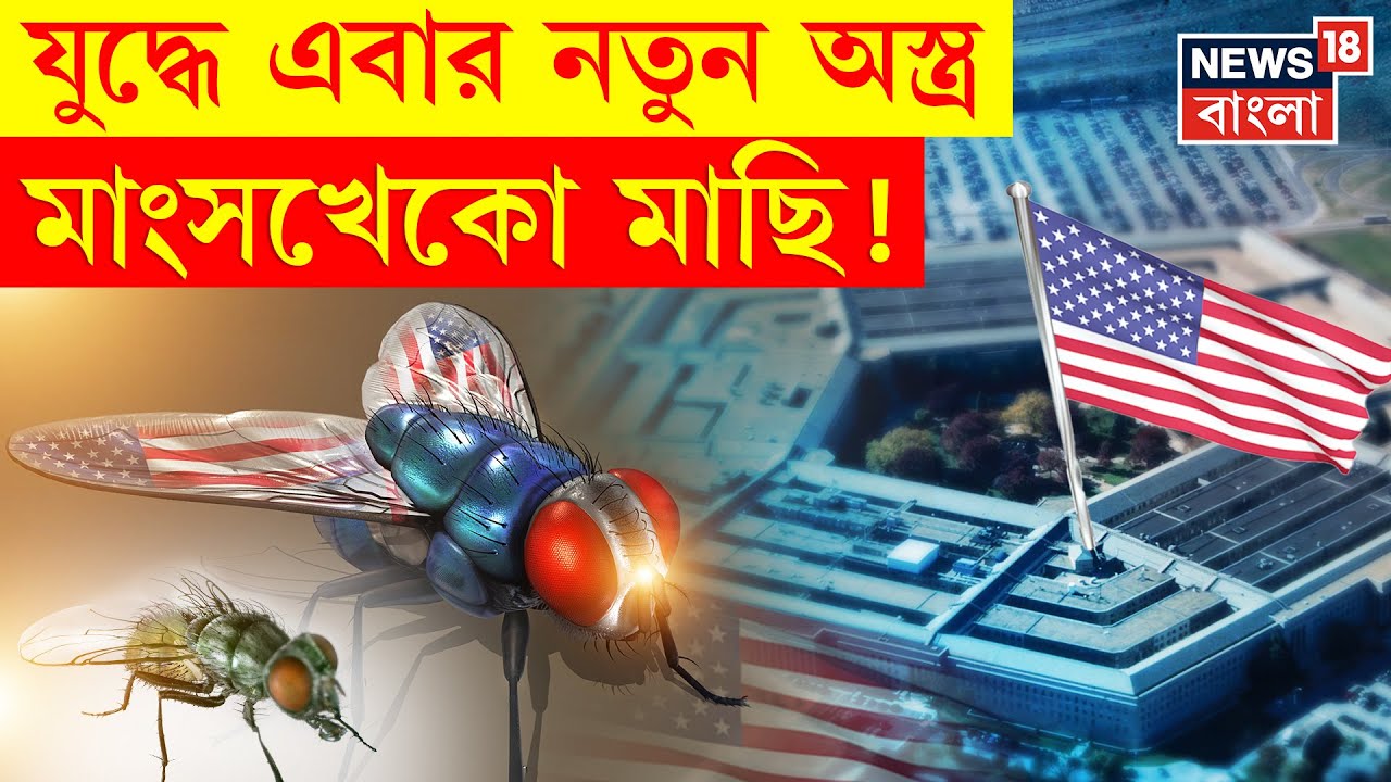 US News : আমেরিকার নতুন অস্ত্র, মাংসখেকো কমান্ডো মাছি! দেখুন | Bangla News | N18G