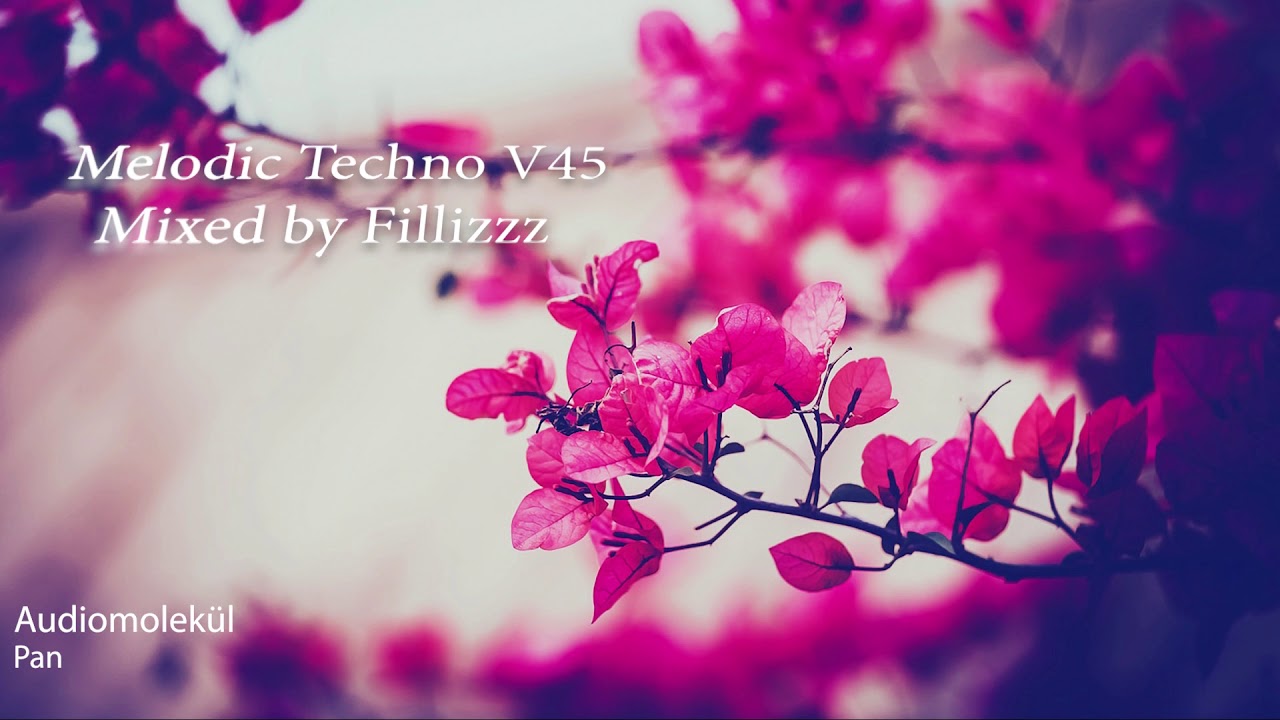 Melodic Techno V45 (Boris Brejcha, Mees Dierdorp, N'to, S&eacute;bastien L&eacute;ger, Audiomolek&uuml;l,...)