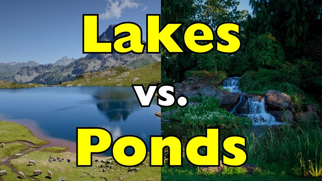 Lakes vs. Ponds: How Are They Different? [ID0704]