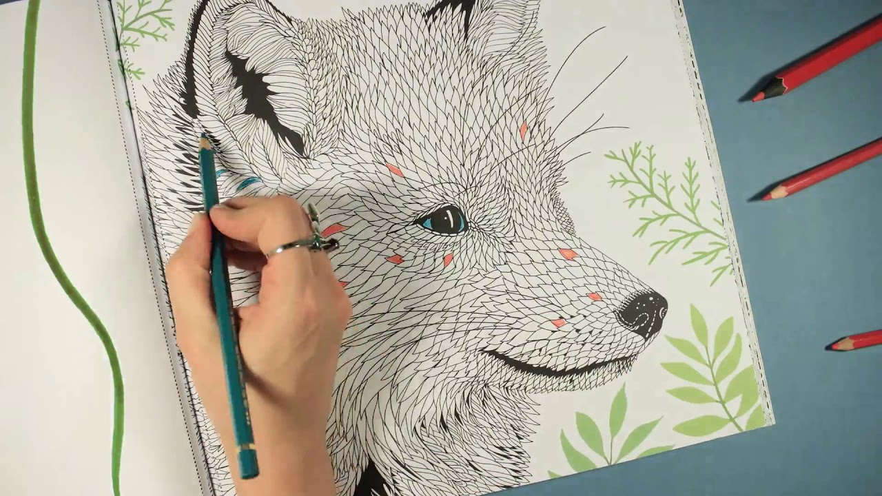 The Menagerie: Animal Portraits to Colour