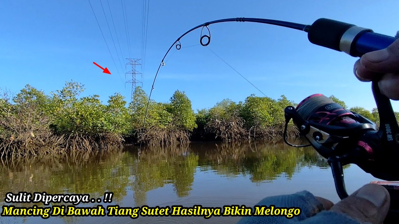 Sulit Dipercaya..!! Mancing di bawah tiang sutet Hasilnya Bikin Melongo