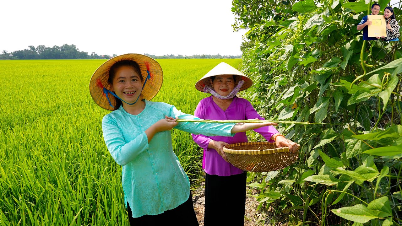 Choáng ngợp với vườn rau đậu bầu bí của Mẹ Vợ ở Quê Phan Diễm ăn Bí hấp và món ngon dân dã Miền Tây