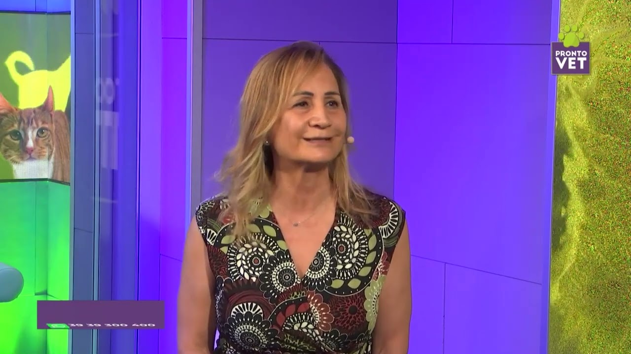 Parliamo di alimentazione veterinaria (cani e gatti) con la Dott.ssa Giusi Tabacco.