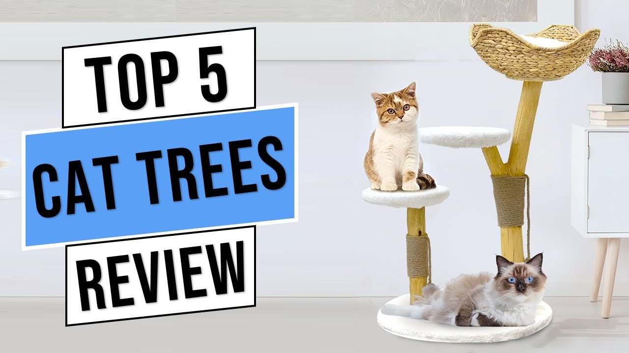 Best Cat Trees in 2023 | Top 5 Best Cat Tree - Reviews