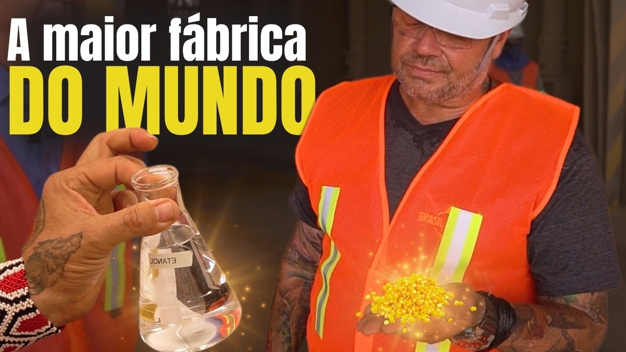 MILHO É PODER: VOCÊ NÃO VAI ACREDITAR NO QUE ESSA FÁBRICA FAZ COM O MILHO!