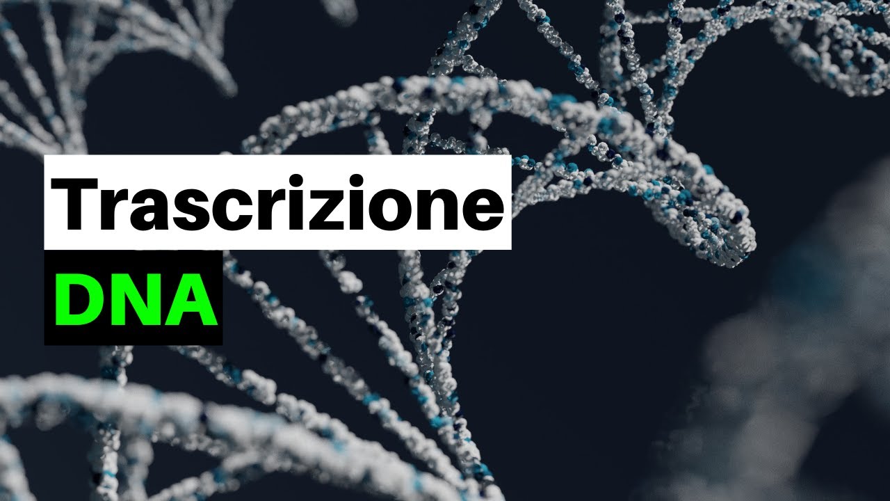 Un DOGMA nella BIOLOGIA?! La trascrizione del DNA nei procarioti e negli eucarioti