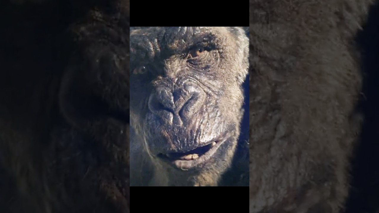 🔥 &ldquo;Kong & Godzilla Team Up with Mothra?! Epic Showdown in Hollow Earth | Godzilla x Kong 2&rdquo; 🦍🦖🦋