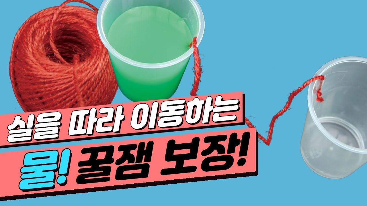 [과학 실험] 물 분자 간의 응집력을 이용해 물을 따라보자!