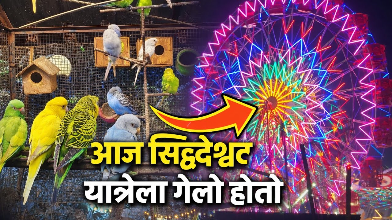 आज सिद्धेश्वर यात्रेला गेलो होतो | Siddheshwar Yatra Latur 2026 | Fair, Birds & Giant Wheel 🎡