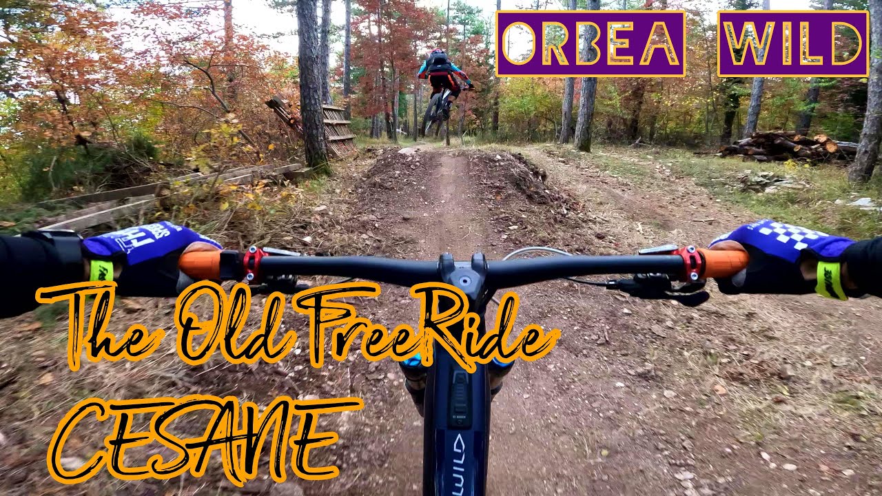 Wild Enduro Series OLD freeride CESANE MTB