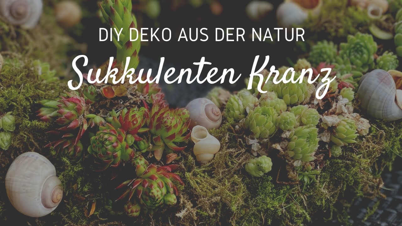 Sukkulenten Kranz einfach gemacht * Gartendekoration * Sukkulenten Deko Ideen