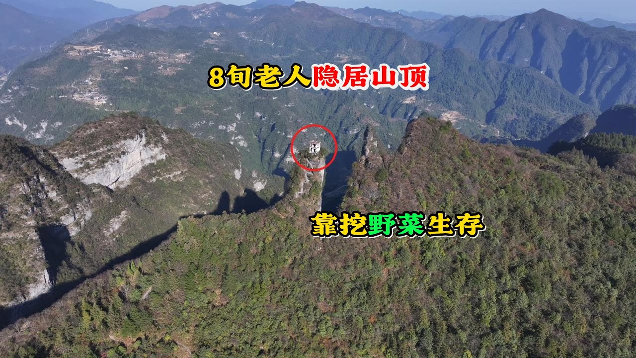 8旬老人隐居山顶，饿了就上山挖野菜吃！