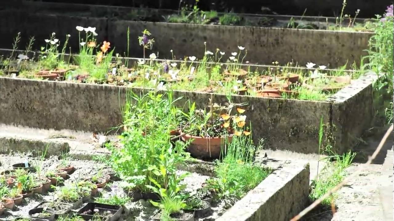 Jardin botanique 