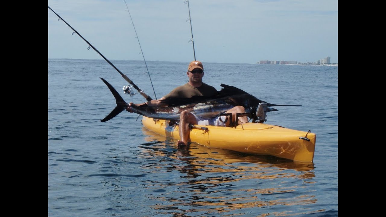 Giant Sailfish caught on a kayak!  10/10/09