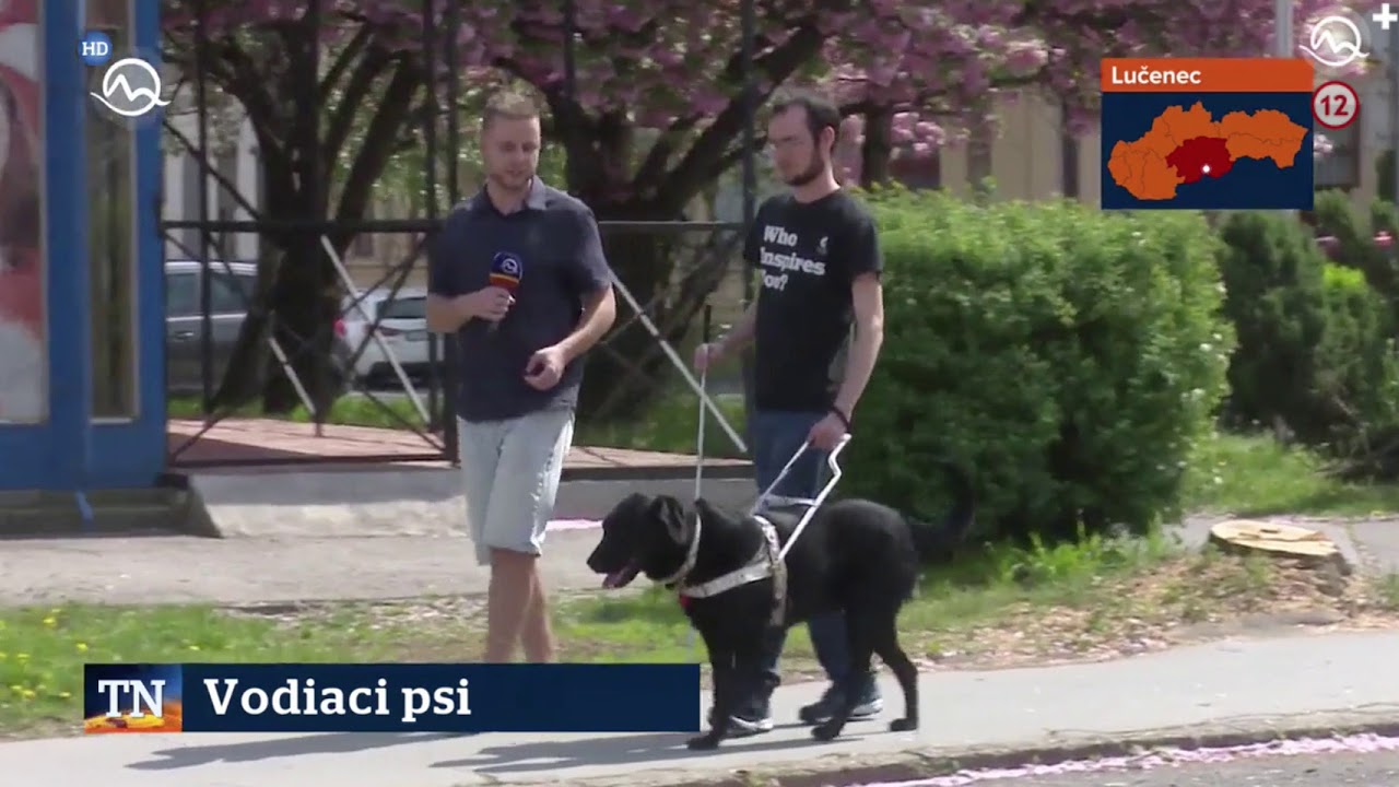Vodiaci pes televiznenoviny 25 4 2018