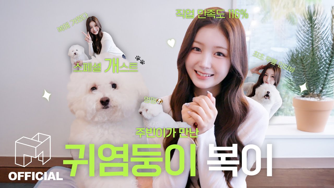 주빈이가 만난 사람 말고 동물은 누구?🐶🤍 | EN JP | SIGNAL 250723