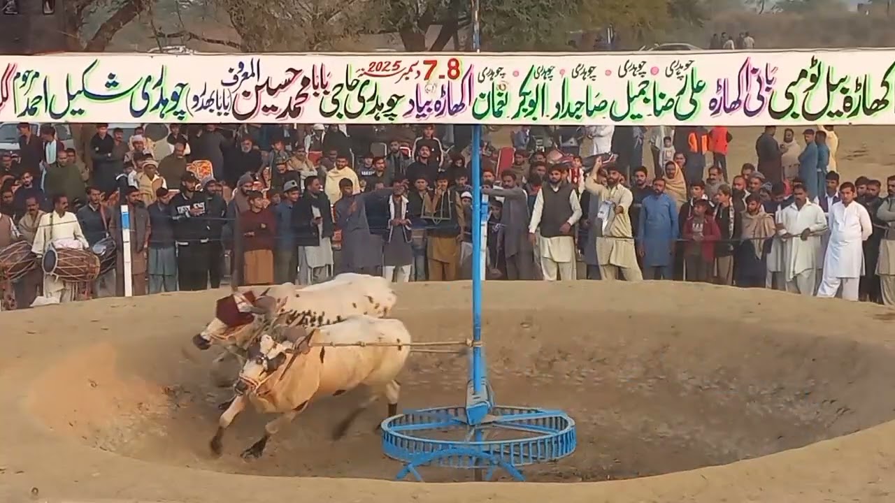 Malik Muhammad Hayat of Panjwarian Gujrat | Akhara Bail Tombi Kikrali Gujrat 7,8 December 2025