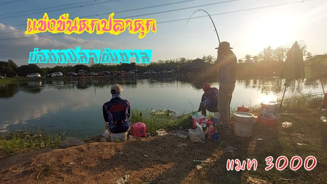 แข่งตกปลาดุกบ่อตกปลาต้นตาล ทุกวันเสาร์แมทหยุดโลก ep.2