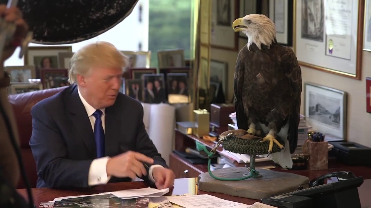 TRUMP Y SU AGUILA LOCA