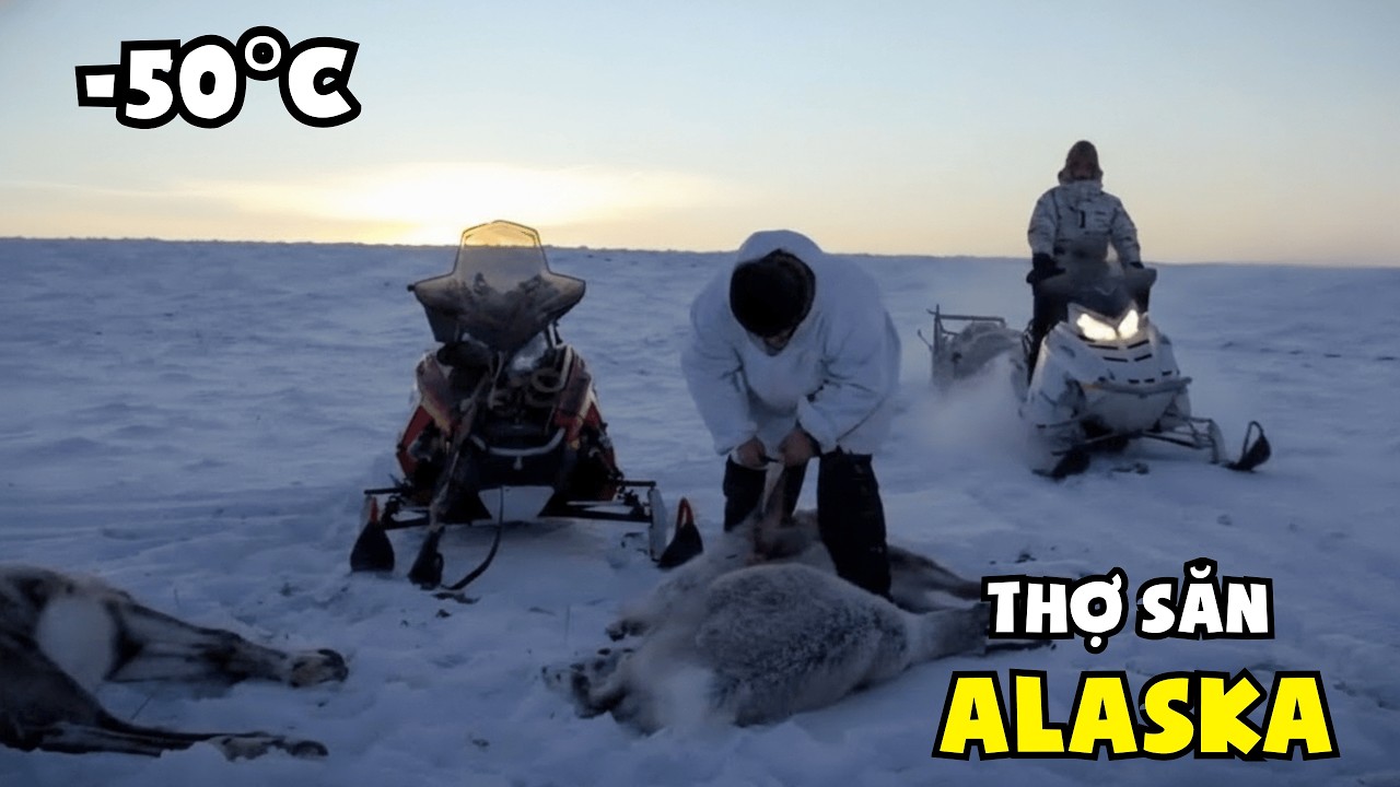 Thợ Săn Alaska: Săn Bắn Tuần Lộc Tích Trữ Lương Thực Ở Vùng Alaska -50°C