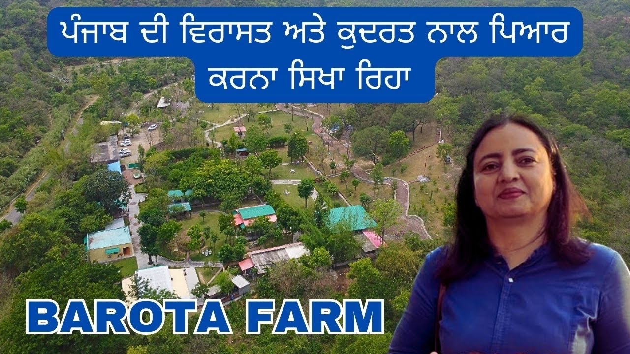 Barota Farm ,camping, jungle safari , jungle trek in Punjab, enjoyment with adventure activities