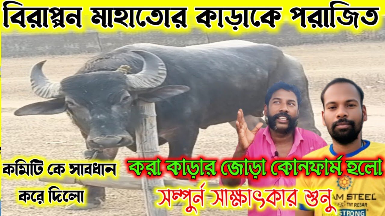 বিরাপ্পন মাহাতোর 🔥 কাড়াকে পরাজিত করা কাড়ার জোড়া কোনফার্ম হলো গেলো আবার। সাক্ষাৎকার শুনুন 