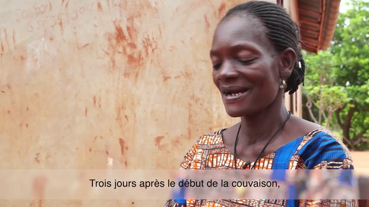 ESF - Améliorer son élevage de poulet au Bénin -