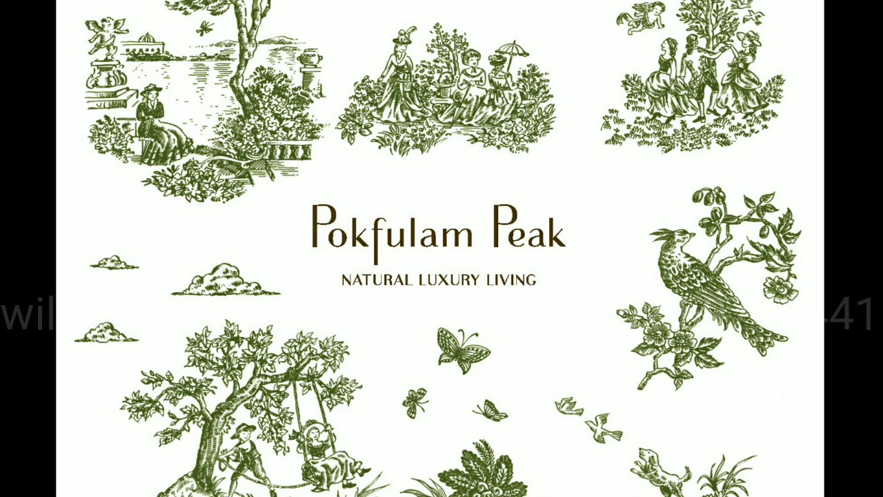Pokfulam Peak for sale Hong Kong 薄扶林 獨立洋房出售