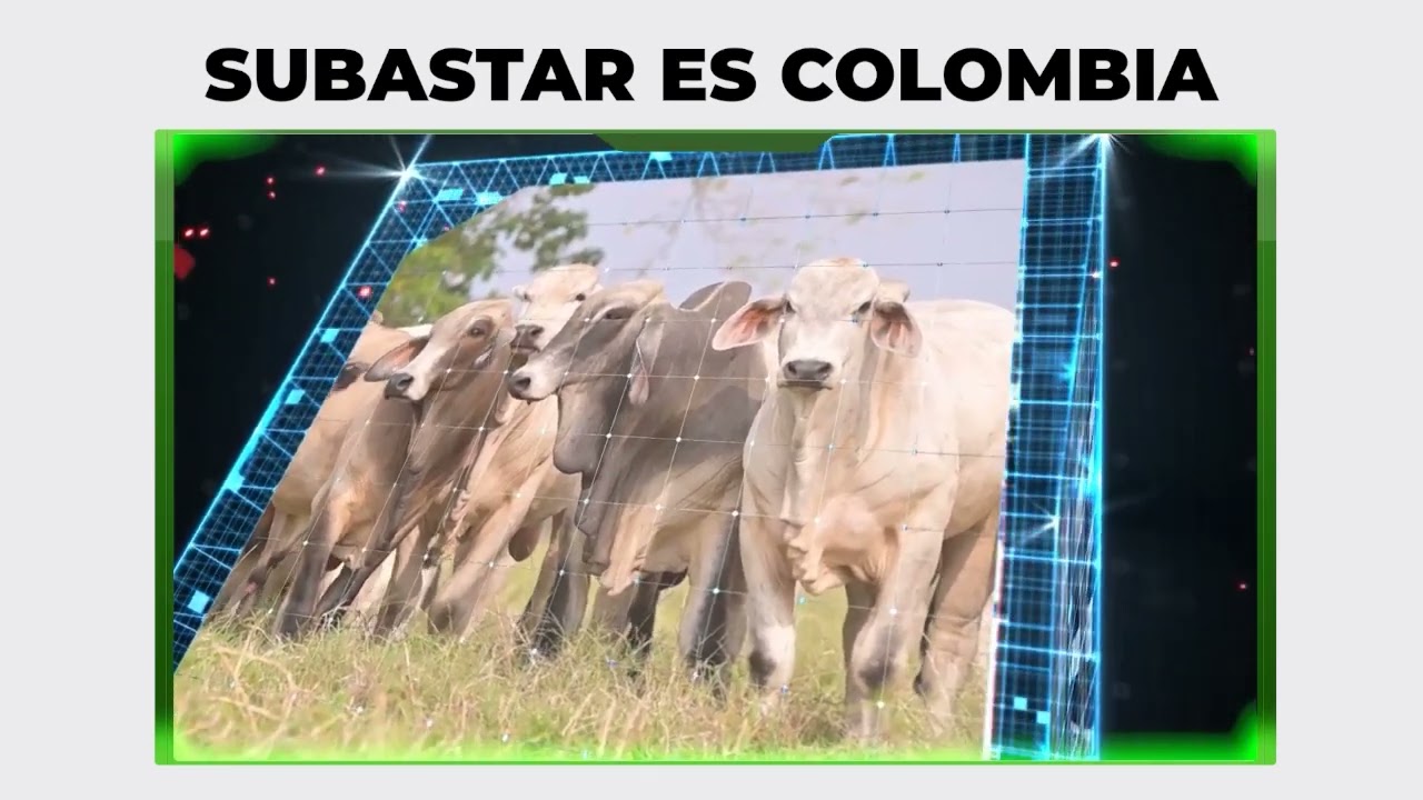 Subastar Virtual - Presencial Monteria E(4) 05-02-2026