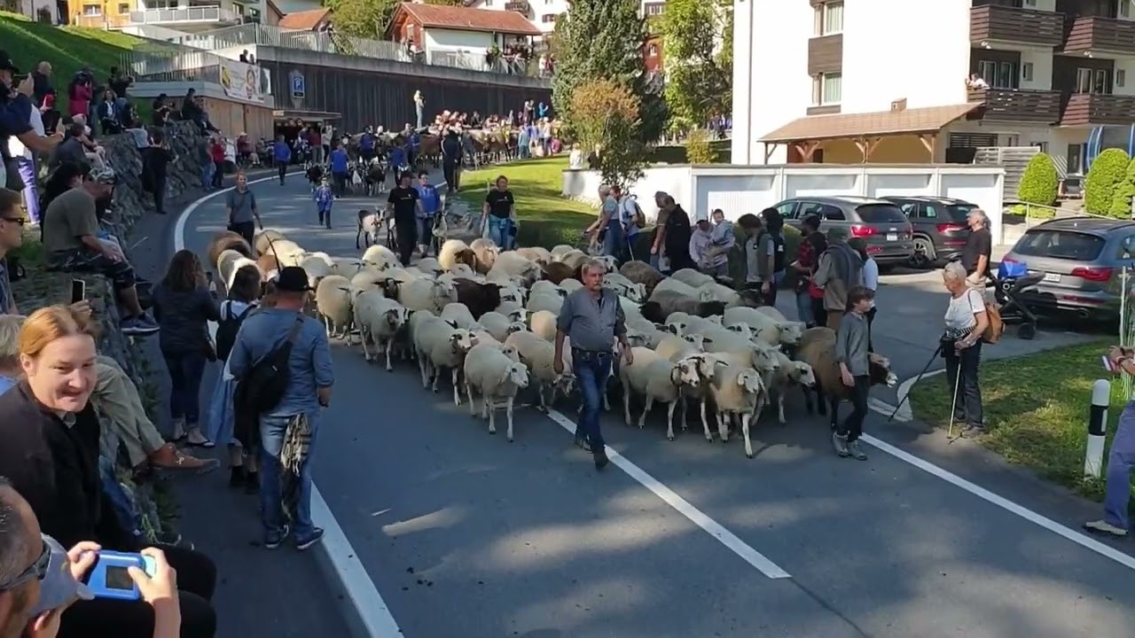 Prättigauer Alpspektakel 2023