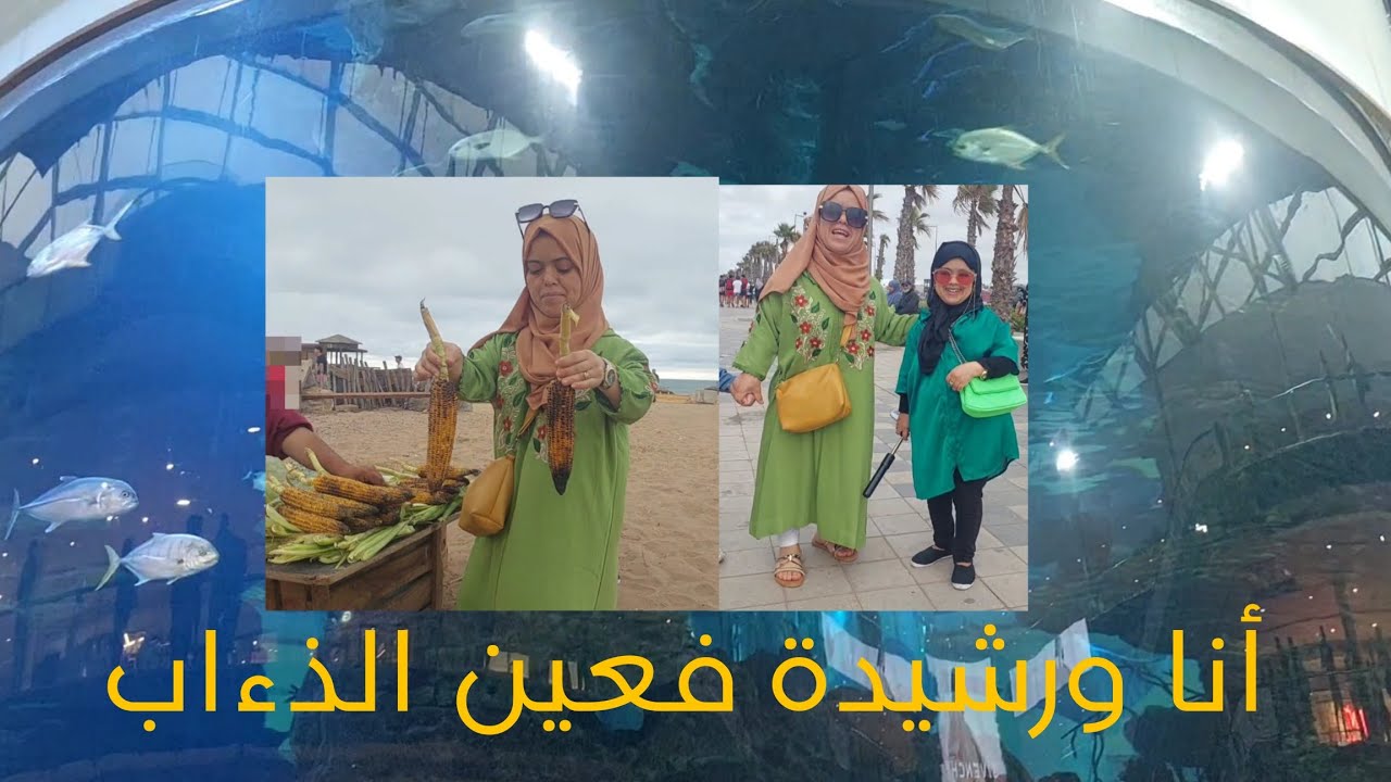 خرجنا أنا ورشيدة مشينا مروكو مول درنا واحد تفويجة ياسلام