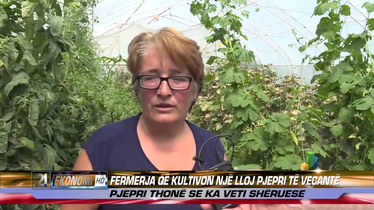 FERMERJA QE KULTIVON NJE LLOJ PJEPRI TE VECANTE 13.06.2016