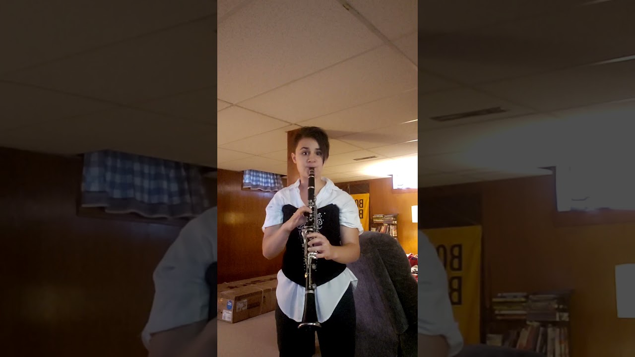 He's A Pirate from Pirates of The Caribbean Clarinet Cover
