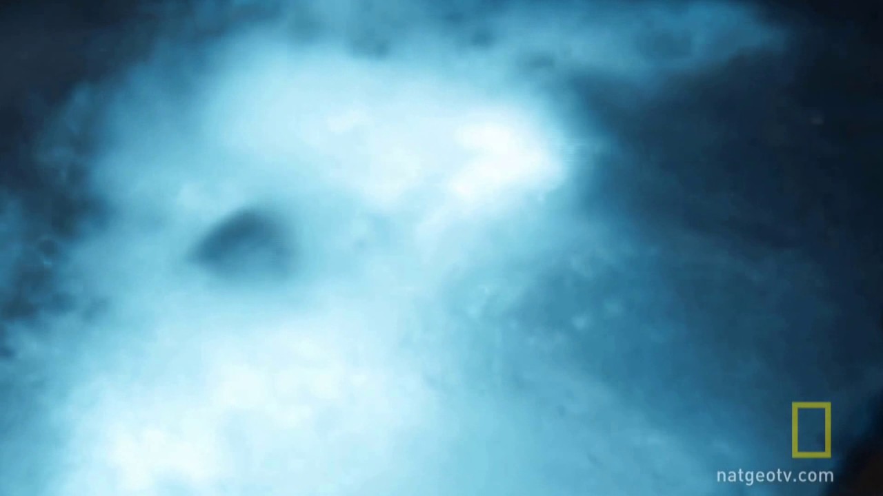 Bioluminescent Bay Tour In Grand Cayman Islands