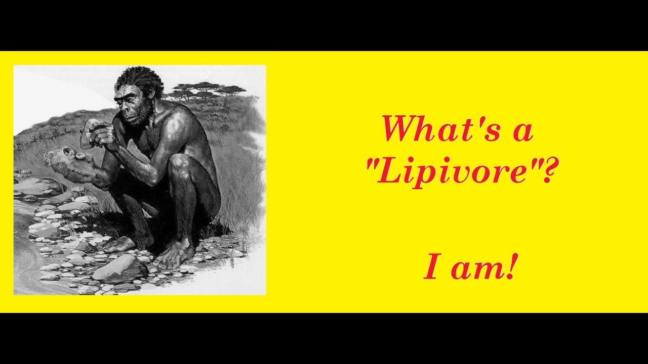 What's a Lipivore?