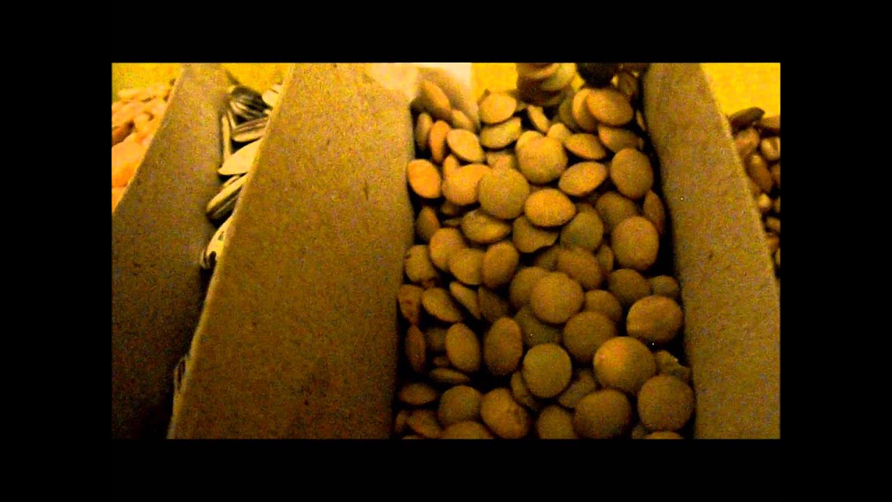 Prohlídka BH stáje [Barn tour]