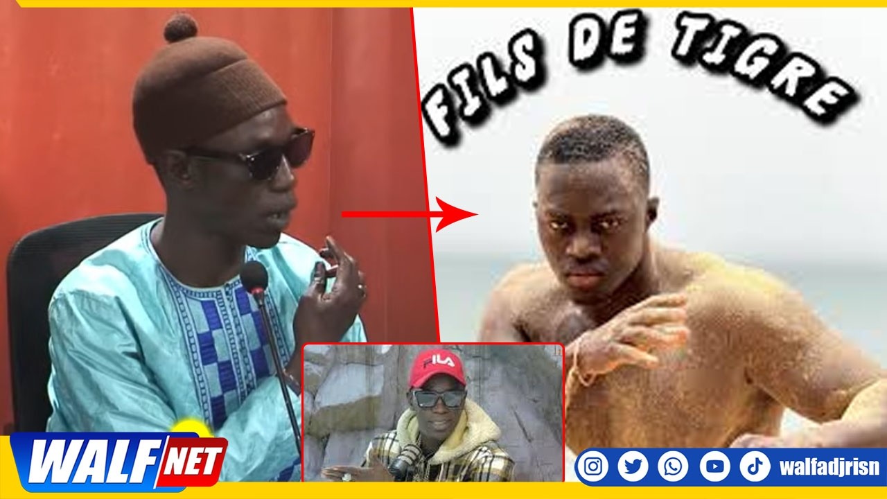 Les Conseils de Lambalogue à Fils de Tigre après sa Defaite contre Bou Siteu 