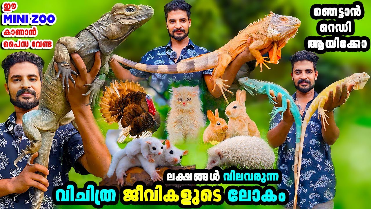 ഷാന്റോ ചേട്ടന്റെ ആരും കാണാത്ത വിചിത്ര ജീവികളുടെ ലോകം|Exotic Pets|Mixed pets farm|Mini Pets Zoo