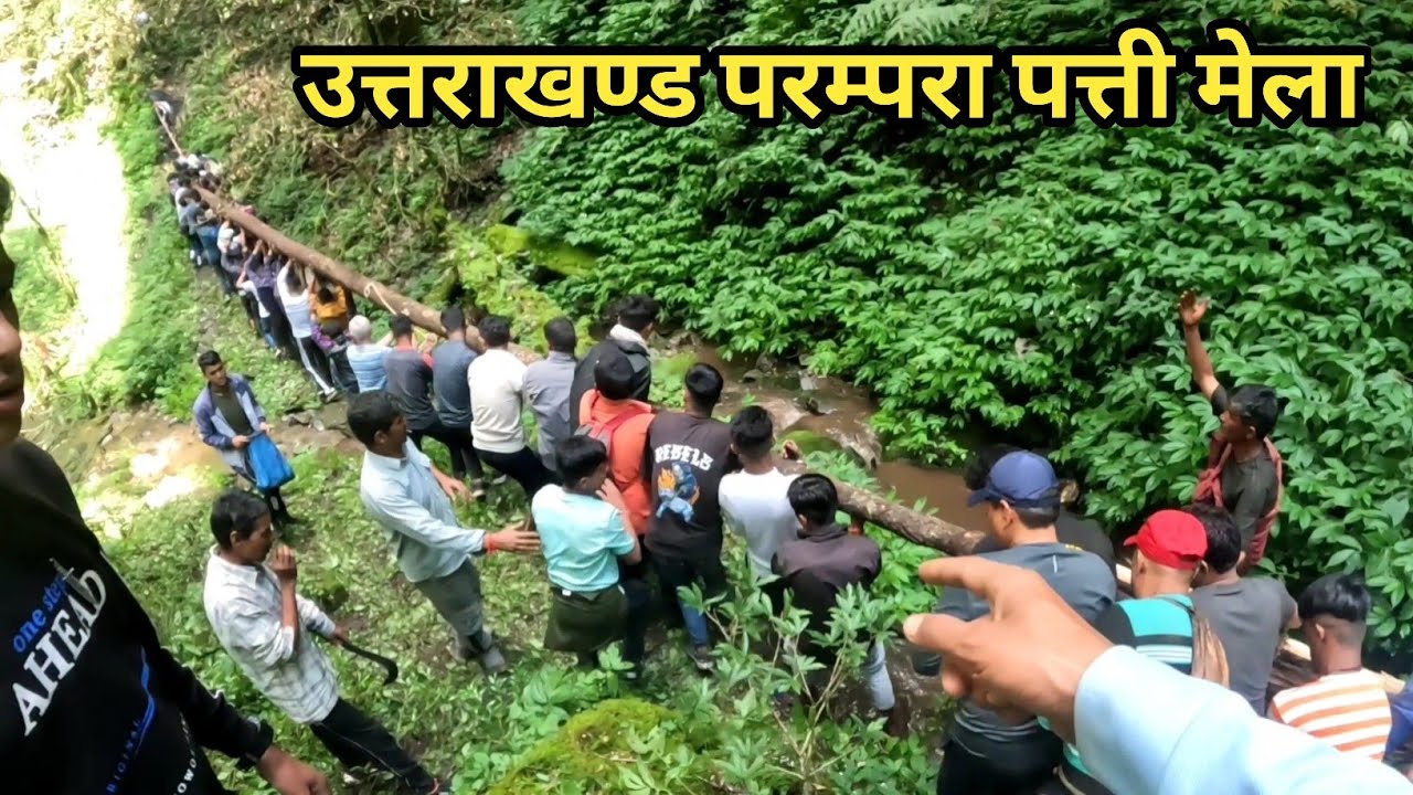 जंगल से पत्ती लाने में किन किन समस्याओं का सामना करना पड़ता है! हैरान हो जाओगे आप! 😇